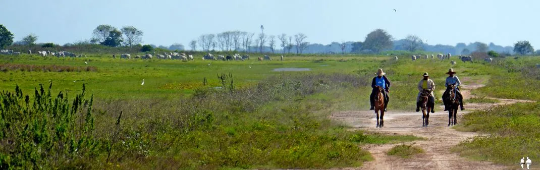 Panorámica de Llaneros, Hato El Cedral