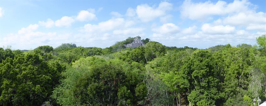 Panoramica con Vistas desde arriba de Estructura VII, Calakmul Ruinas, Mexico
