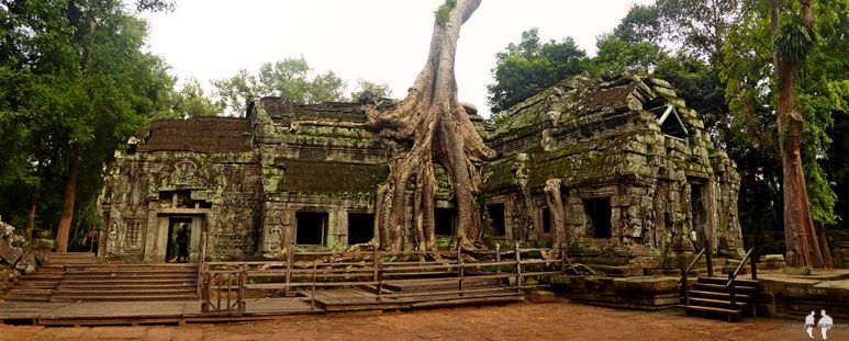 1444. Pano, Templo de Ta Prohm, Angkor, Siem Reap