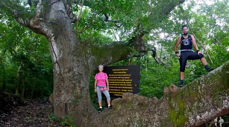 Katz y Saioa, Pano, Ceiba, Subida al Volcán Concepción, Ometepe