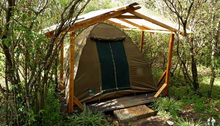 ALOJAMIENTO BARATO EN SEKENANI Tienda, Mara Explorers Camp & Backpackers Lodge, Masai Mara