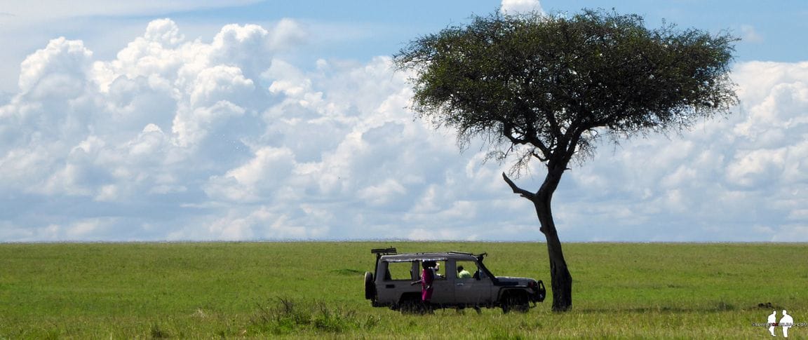 Kenia por libre Contactos