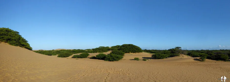Pano, Los Médanos de Coro