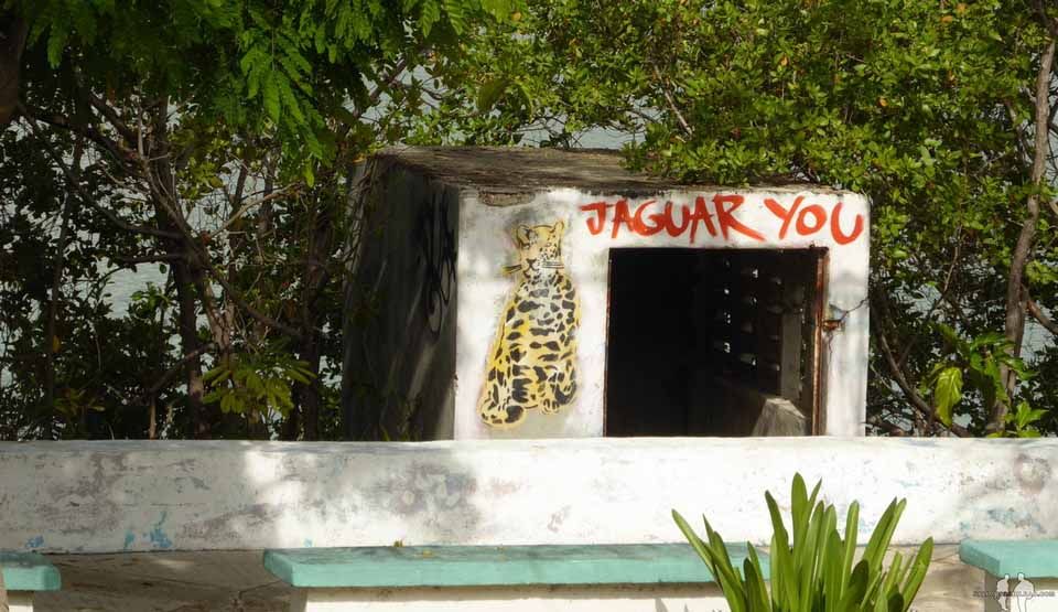 QUÃ‰ HACER GRATIS EN ISLA MUJERES Grafiti, Isla Mujeres