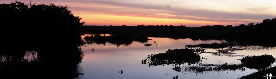SAFARI VENEZOLANO ANIMALES DE LOS LLANOS Pano, Tour en barca al atardecer, Hato El Cedral