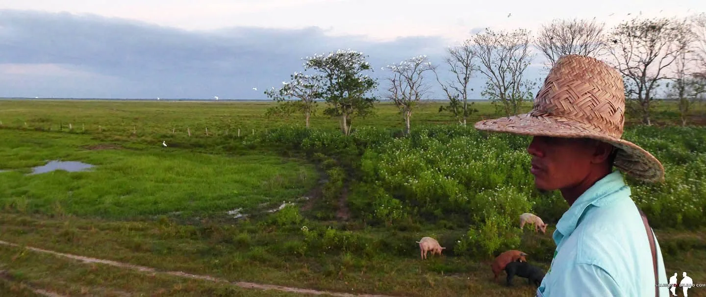 VENEZUELA POR LIBRE CONTACTOS