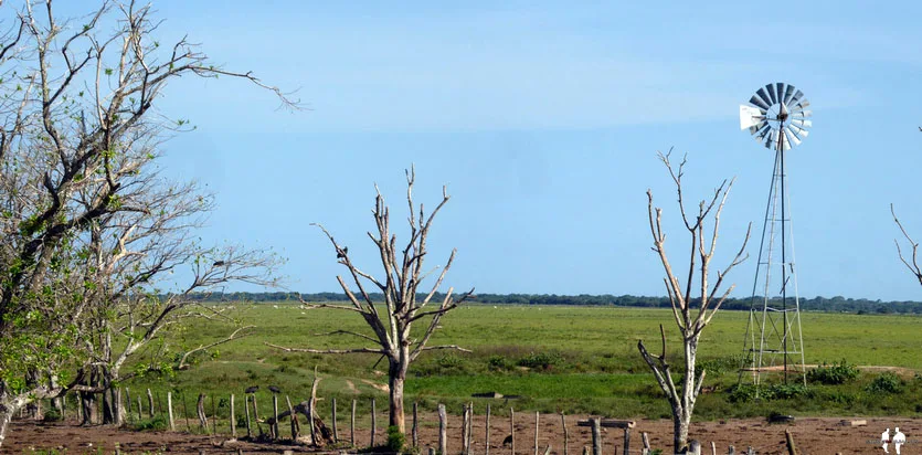 VENEZUELA POR LIBRE, Hato El Cedral