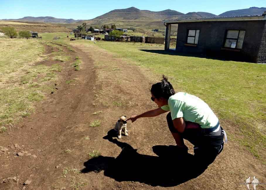 DIARIO: Un mes en el AFRICA AUSTRAL por libre Saioa, Perros, Maletsunyane Falls desde arriba, Semonkong, Lesotho