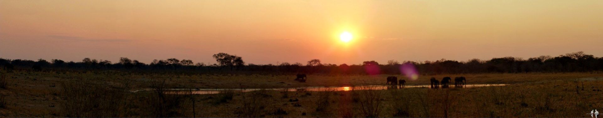 DIARIO: Un mes por el AFRICA AUSTRAL por libre Pano, Elefantes, Puesta de sol, Lago, Parque Hwange, Zimbabwe